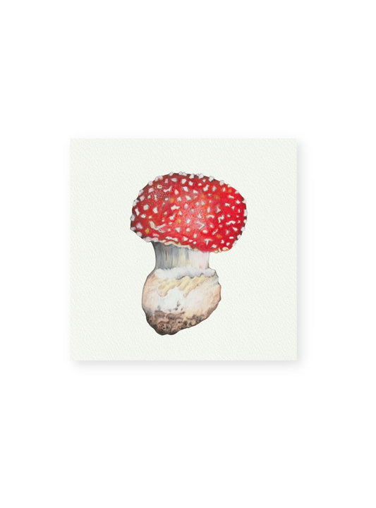 Red Mushroom Giclee Print