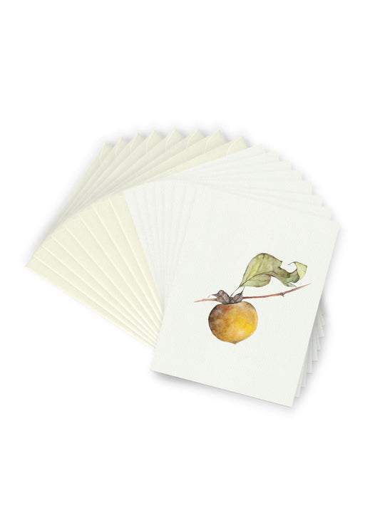 Persimmon Greeting Card Bundle