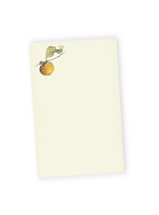Persimmon Letter Paper Bundle