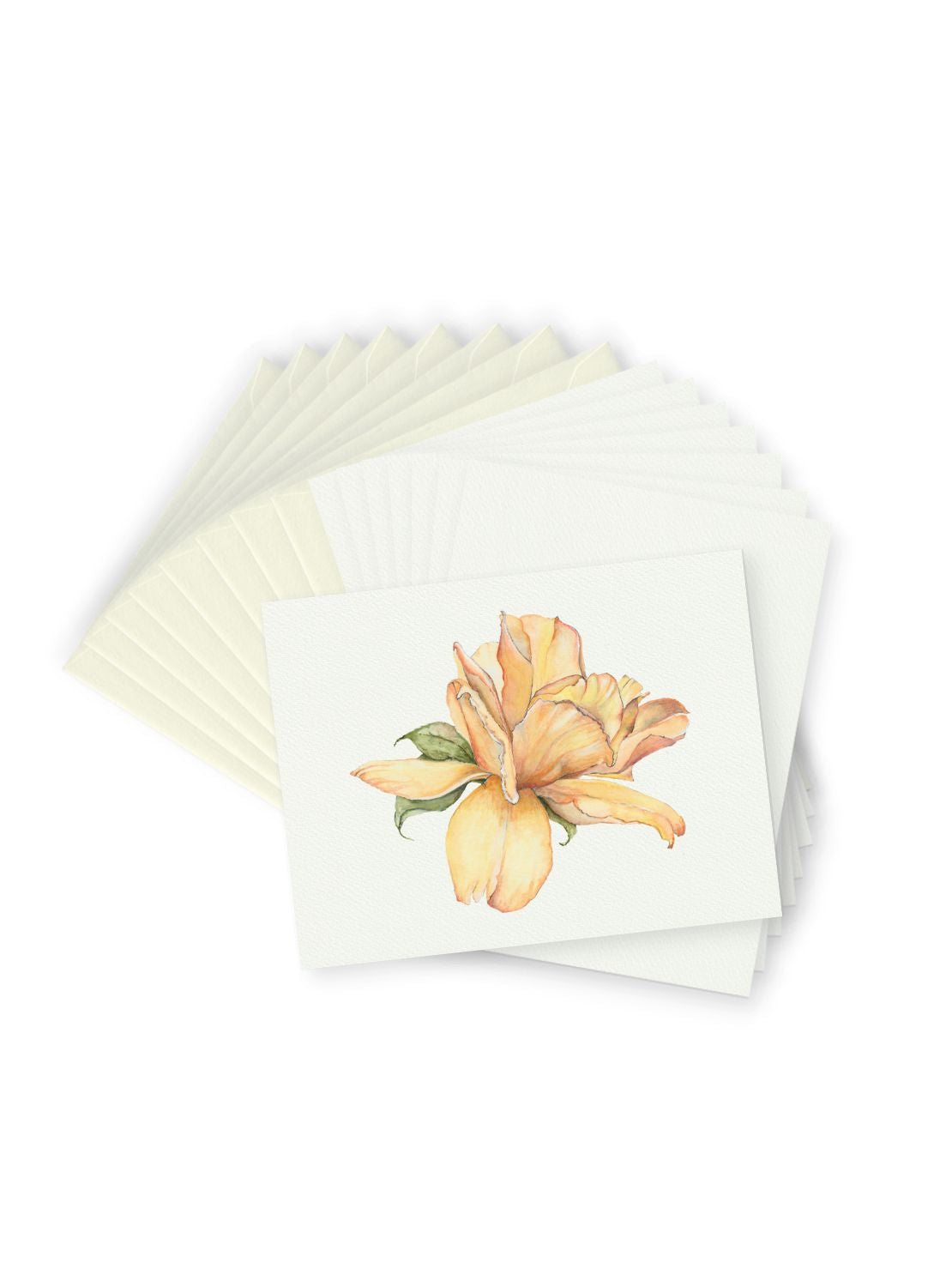 Yellow Rose Greeting Card Bundle
