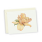 Yellow Rose Greeting Card Bundle