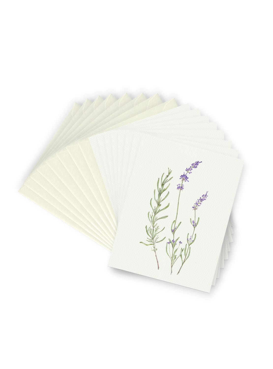 Lavender Greeting Card Bundle