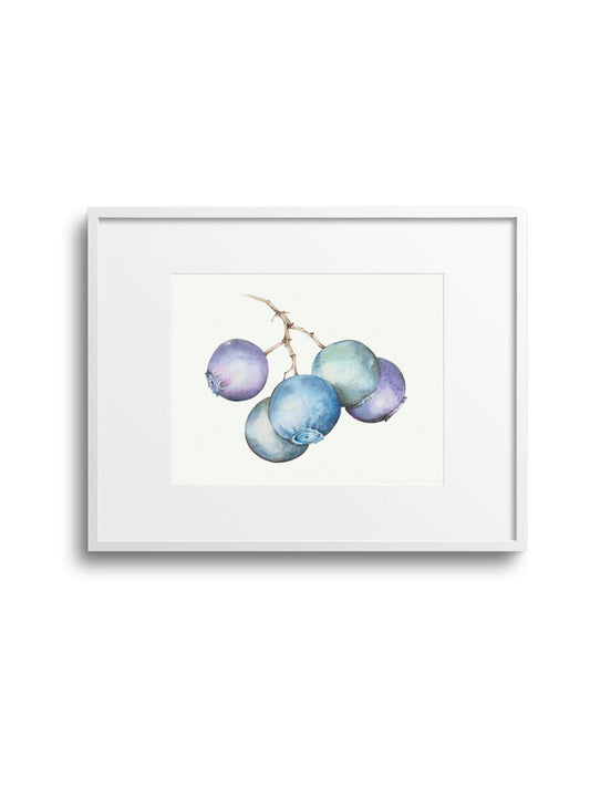 Blueberry No.1 Giclee Print