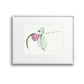 Camellia No.4 Giclee Print