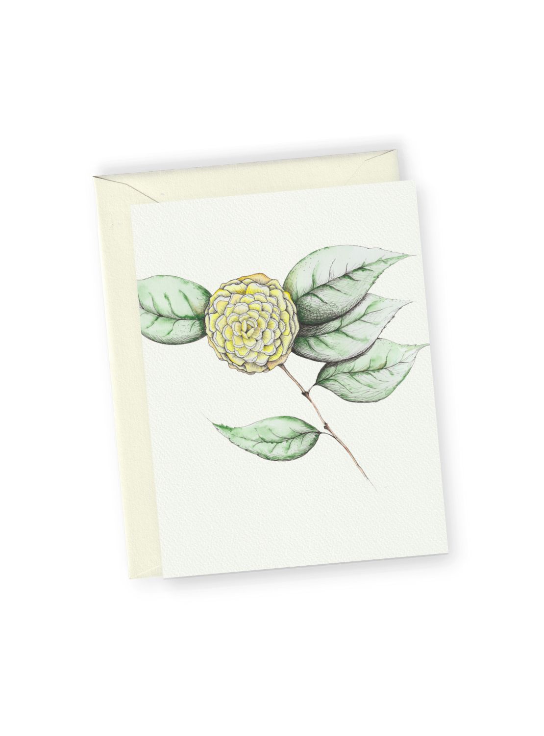 Camellia No.5