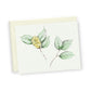 Camellia No.6