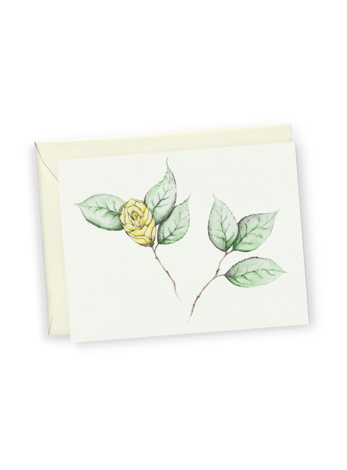 Camellia No.6