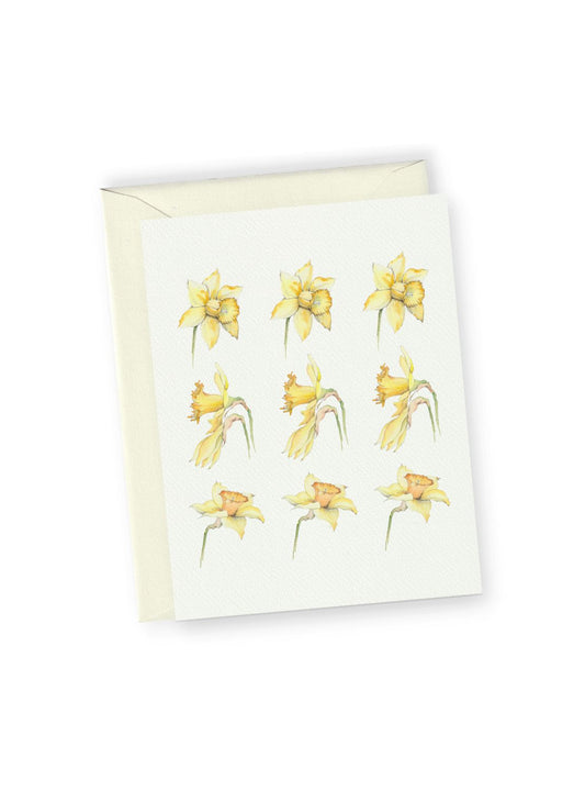 Daffodil No.5