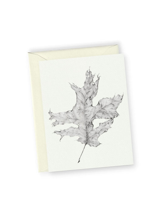 Graphite Leaf No.2