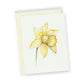 Daffodil No.1