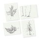 Graphite Trees & Leaves Greeting Card Bundle