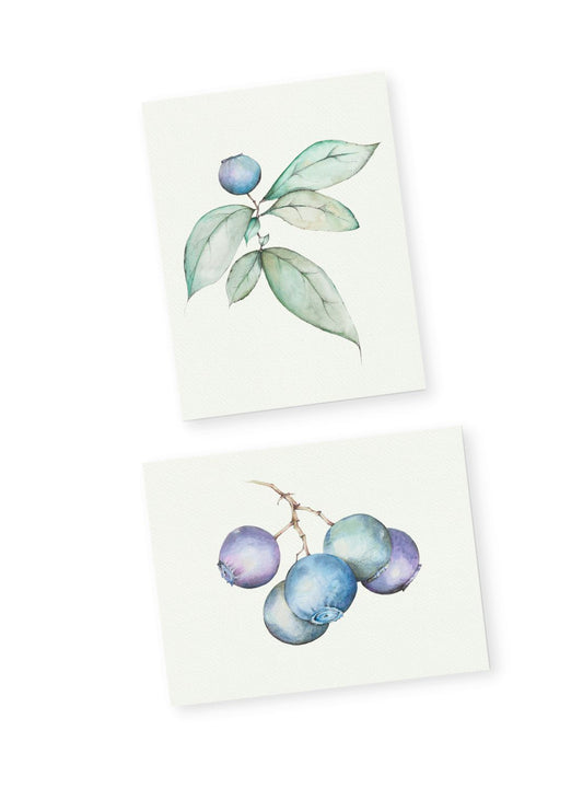 Blueberry Greeting Card Bundle