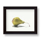 Pear No.2 Giclee Print