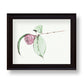 Camellia No.4 Giclee Print