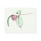 Camellia No.4 Giclee Print