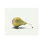 Pear No.2 Giclee Print