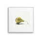 Pear No.2 Giclee Print