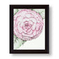Camellia No.2 Giclee Print