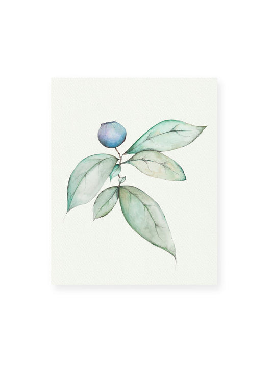 Blueberry No.2 Giclee Print
