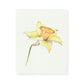 Daffodil No.3 Giclee Print