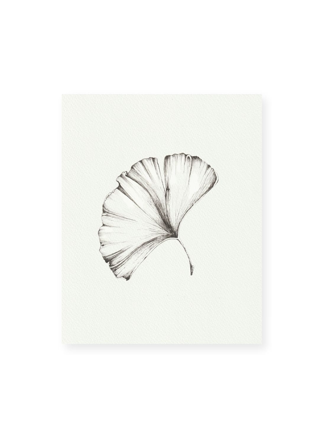 Gingko No.1 Giclee Print