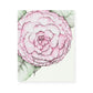 Camellia No.2 Giclee Print
