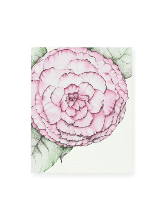 Camellia No.2 Giclee Print
