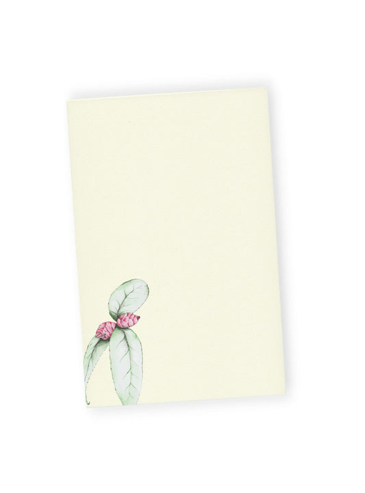 Camellia No.3 Letter Paper Bundle