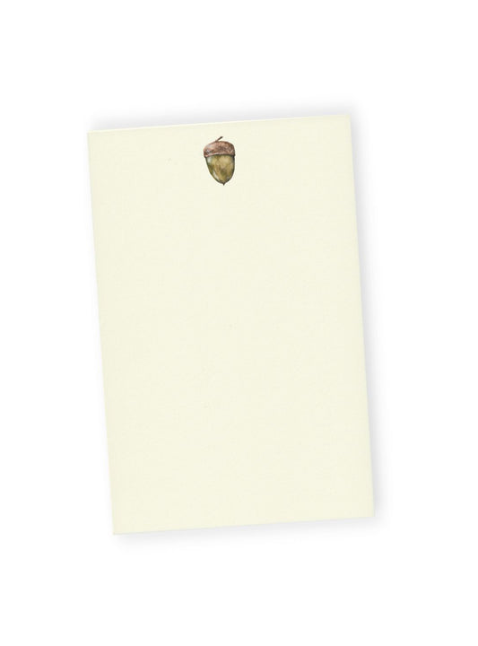 Acorn Letter Paper Bundle