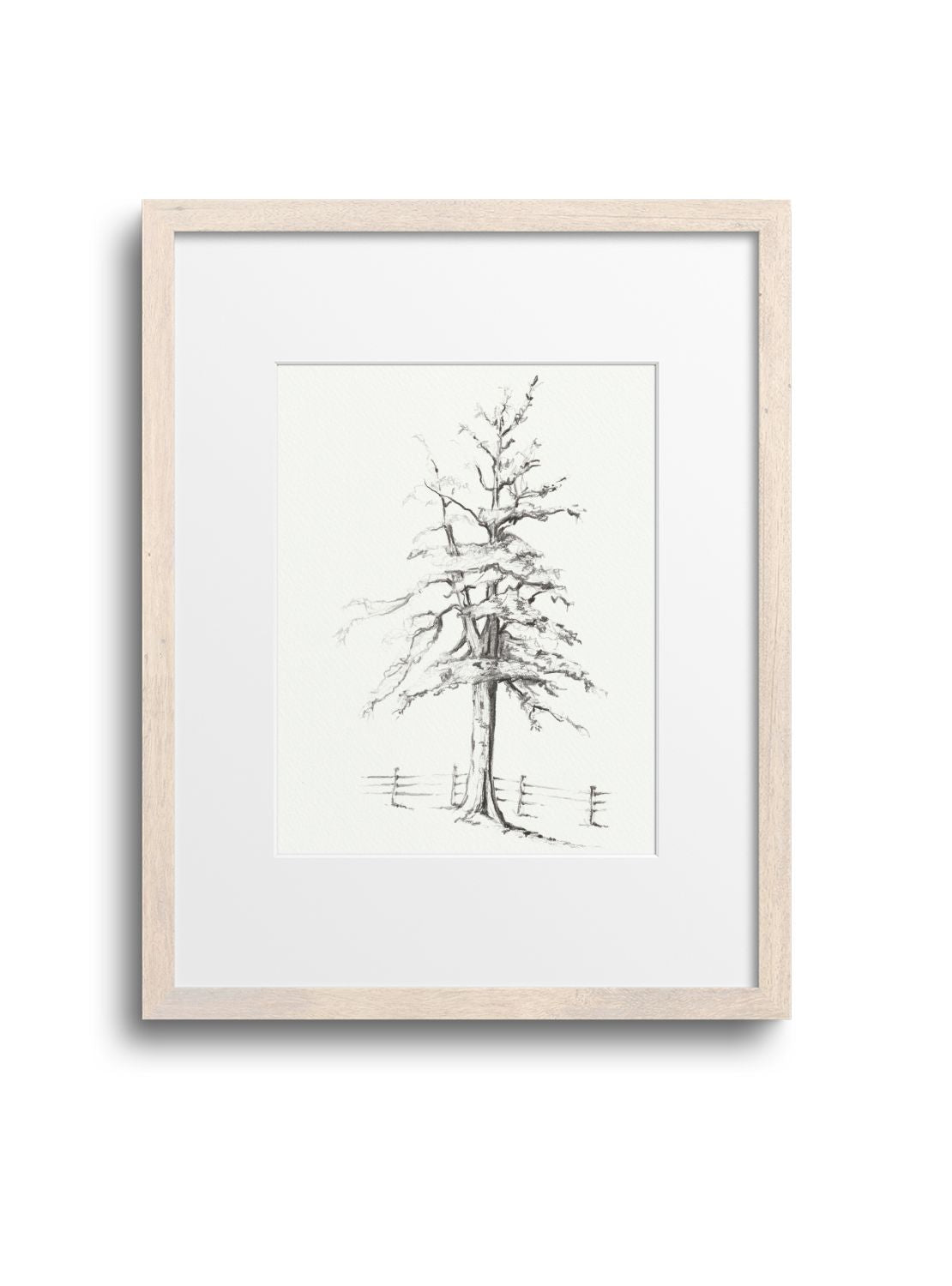 Graphite Tree No.1 Giclee Print