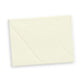 Clover Greeting Card Bundle