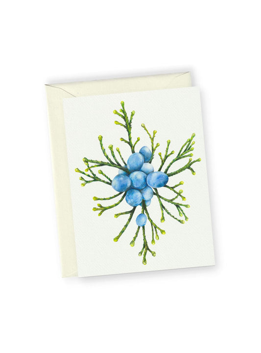 Holiday Juniper Berries Greeting Card Bundle