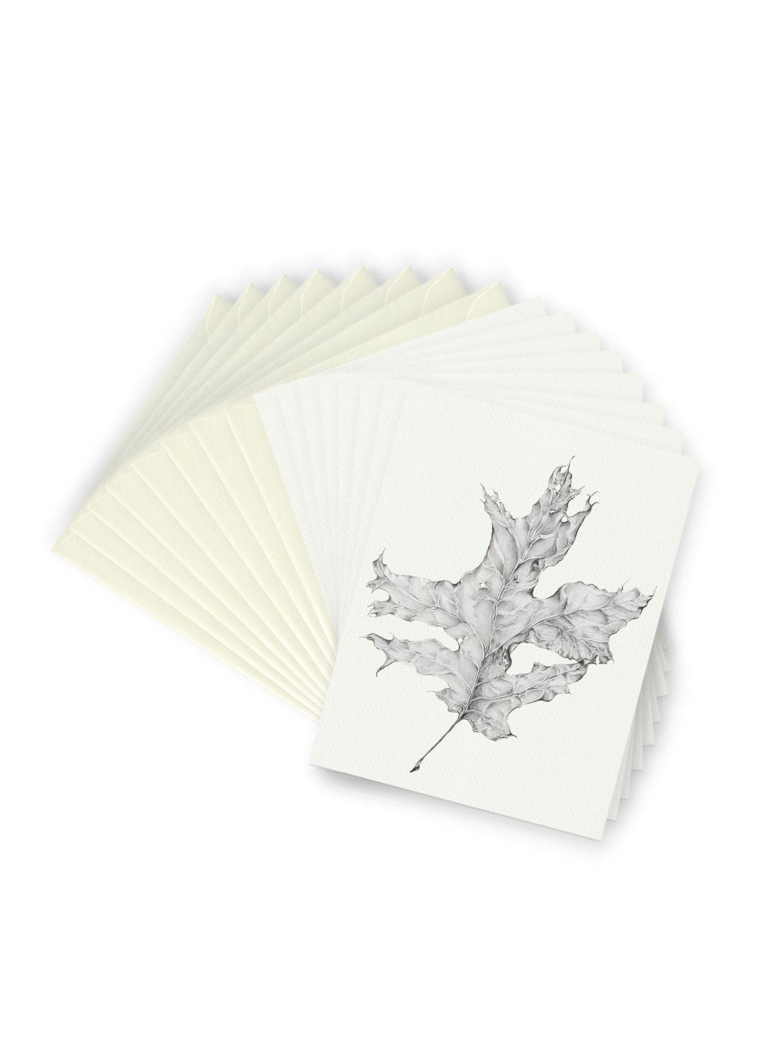 Graphite Trees & Leaves Greeting Card Bundle